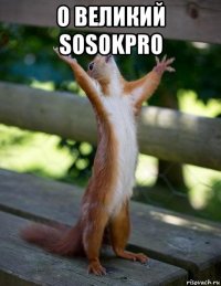 о великий sosokpro 