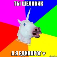 ты шеловик а я единорог ♥