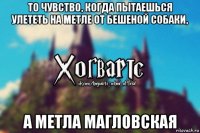 то чувство, когда пытаешься улететь на метле от бешеной собаки, а метла магловская