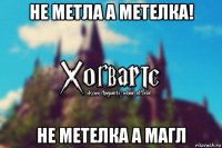 не метла а метелка! не метелка а магл