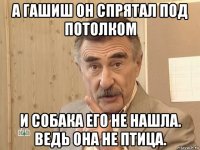 а гашиш он спрятал под потолком и собака его не нашла. ведь она не птица.