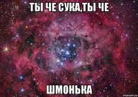 ты че сука,ты че шмонька