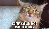  когда суешь 5000 маршрутчику