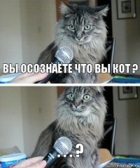 ВЫ ОСОЗНАЁТЕ ЧТО ВЫ КОТ ? . . . ?