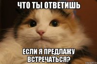 что ты ответишь если я предлажу встречаться?