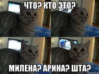 что? кто это? милена? арина? шта?