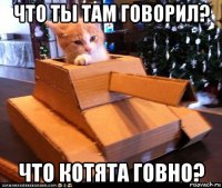 что ты там говорил? что котята говно?