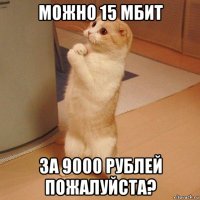 можно 15 мбит за 9000 рублей пожалуйста?