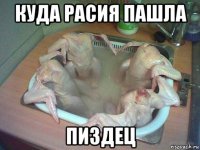 куда расия пашла пиздец