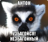 антон узбагойся! незбагойный