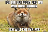 ich bin der fuchs und ich will nich lehrnen ich will fyr-fyr-fyr