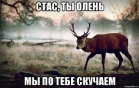 стас, ты олень мы по тебе скучаем