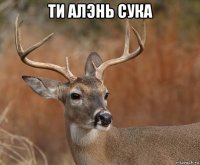 ти алэнь сука 