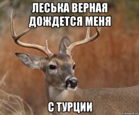 леська верная дождется меня с турции