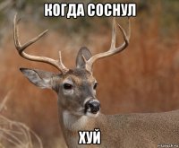 когда соснул хуй