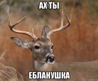 ах ты ебланушка