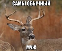 самы обычный муж