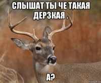 слышат ты че такая дерзкая . а?