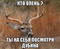 кто олень ? ты на себя посмотри дубина