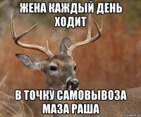 жена каждый день ходит в точку самовывоза маза раша