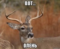 вот... олень