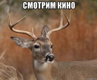 смотрим кино 