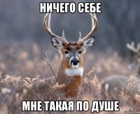 ничего себе мне такая по душе