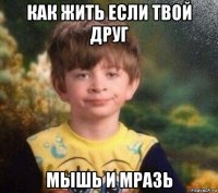 как жить если твой друг мышь и мразь