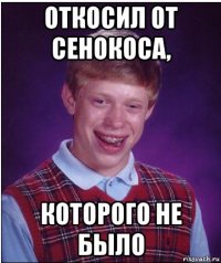 откосил от сенокоса, которого не было