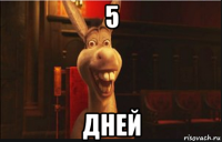 5 дней