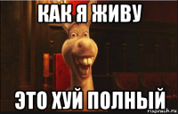 как я живу это хуй полный