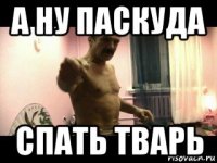 а ну паскуда спать тварь