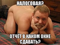 налоговая? отчёт в каком окне сдавать?