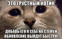 это грустный котик добавь его к себе на стену и обновление выйдут быстро!