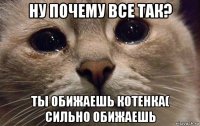 ну почему все так? ты обижаешь котенка( сильно обижаешь