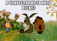 а че котелок не 30 кило весит? 