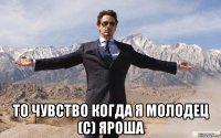  то чувство когда я молодец (с) яроша