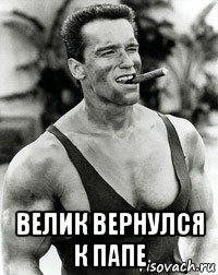  велик вернулся к папе