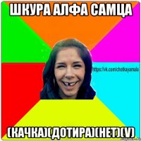 шкура алфа самца (качка)(дотира)(нет)(v)