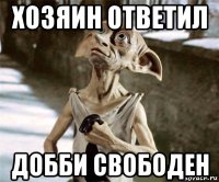 хозяин ответил добби свободен