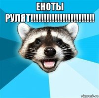 еноты рулят!!!!!!!!!!!!!!!!!!!!!!!! 