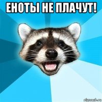 еноты не плачут! 