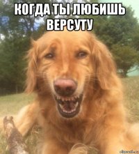 когда ты любишь версуту 