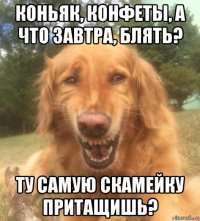 коньяк, конфеты, а что завтра, блять? ту самую скамейку притащишь?