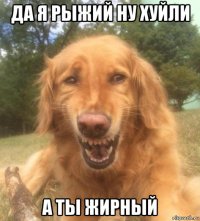 да я рыжий ну хуйли а ты жирный