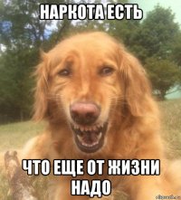 наркота есть что еще от жизни надо