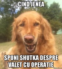 cind jenea spuni shutka despre valet cu operatie