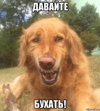 давайте бухать!