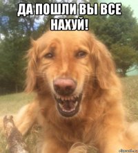 да пошли вы все нахуй! 