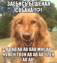 заебись бешеная собака!!!?! ав ав ав ав вав мне ав нужен твой ав ав ав член ав ав!